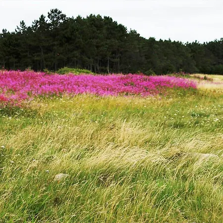 84172-ebeltoft-birkevej-24 Ferienhaus *